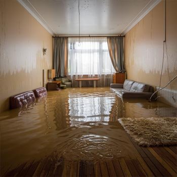 My New York Water Damage Restoration